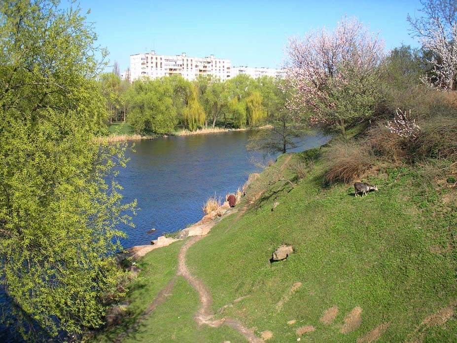Весна. 14.04.2008