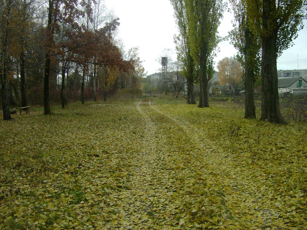 Золотая осень