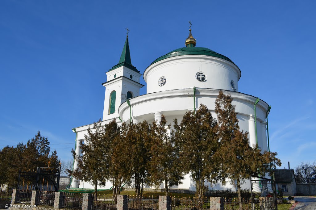 Богуслав. Троицкий собор. 1830-е - 1862 гг. / Bohuslav. Trinity Cathedral. 1830 - 1862
