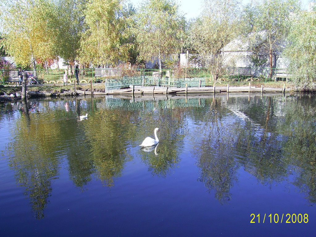 Borispol park