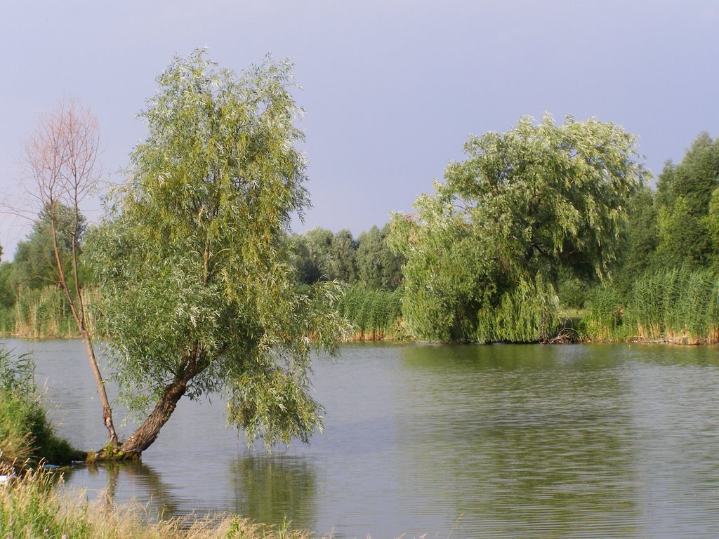 Комсомольское озеро