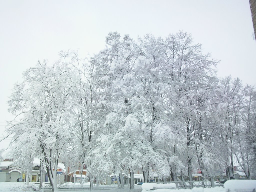 29.12.2009