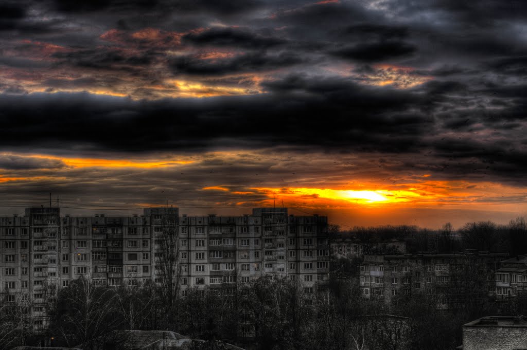 dawn