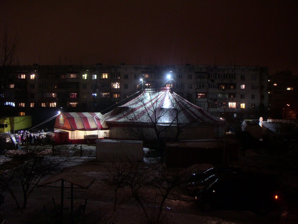 Цирк во дворе