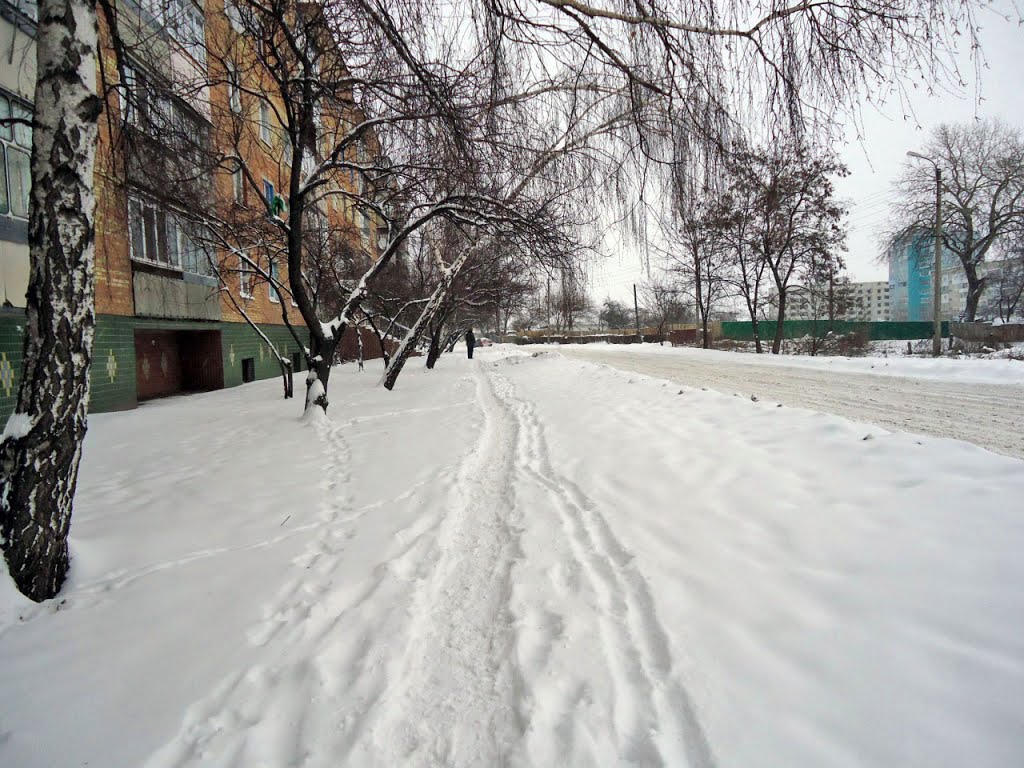 Chervonoarmiyska Street (Winter) 1