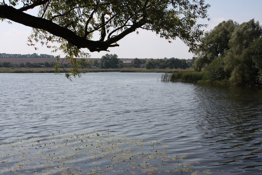 Tamanskoe Lake (view to 160deg)