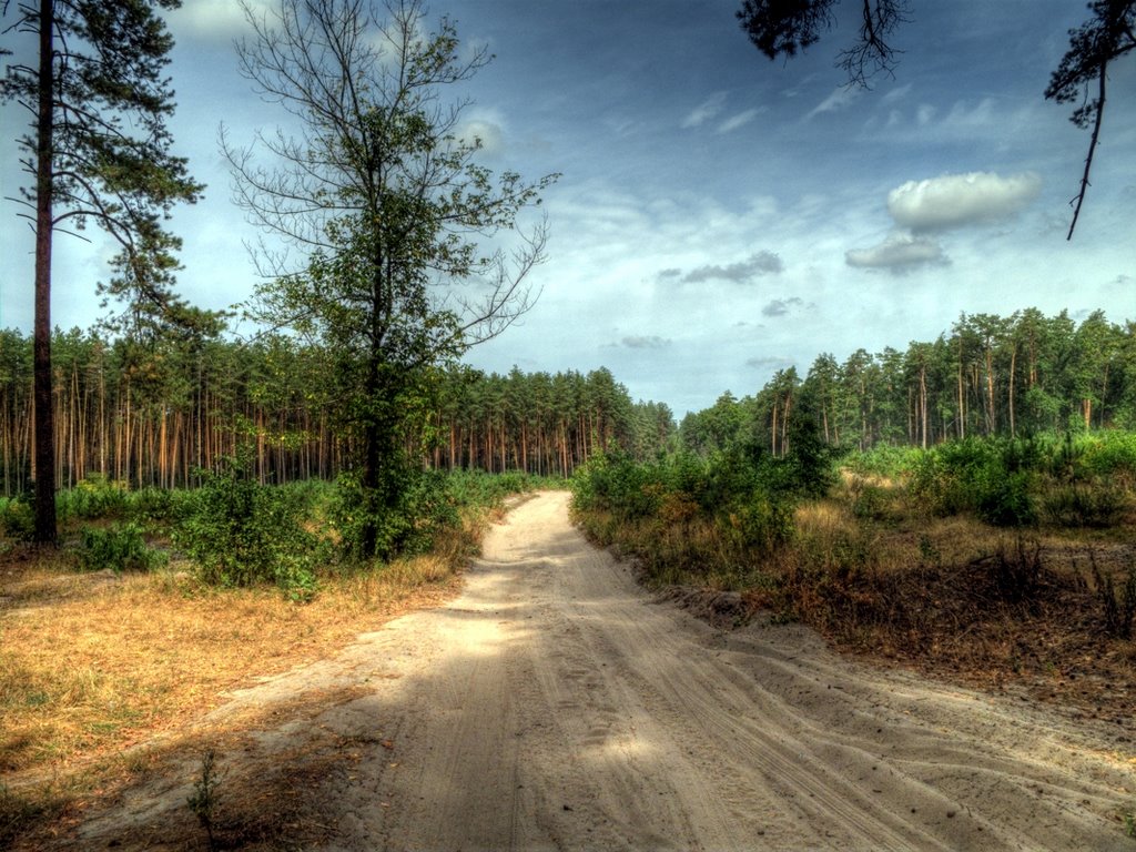 Road_Motovilovka_Plesetske