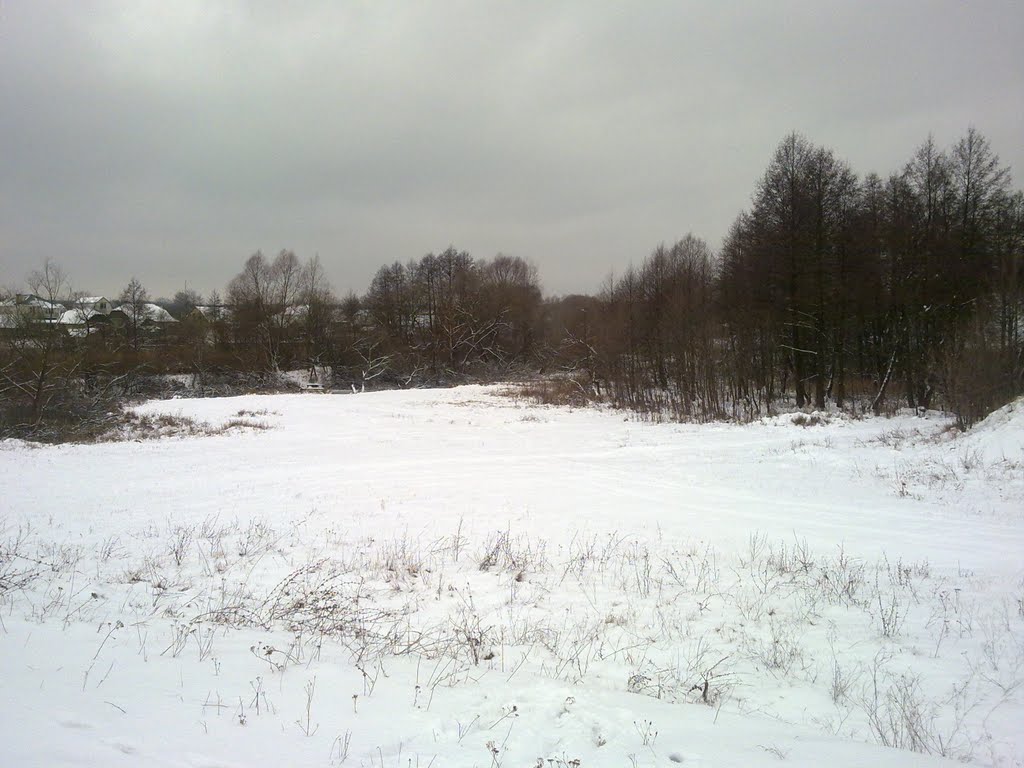 Зимний гай