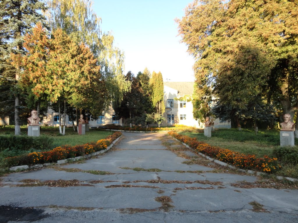 Київська дослідна станція