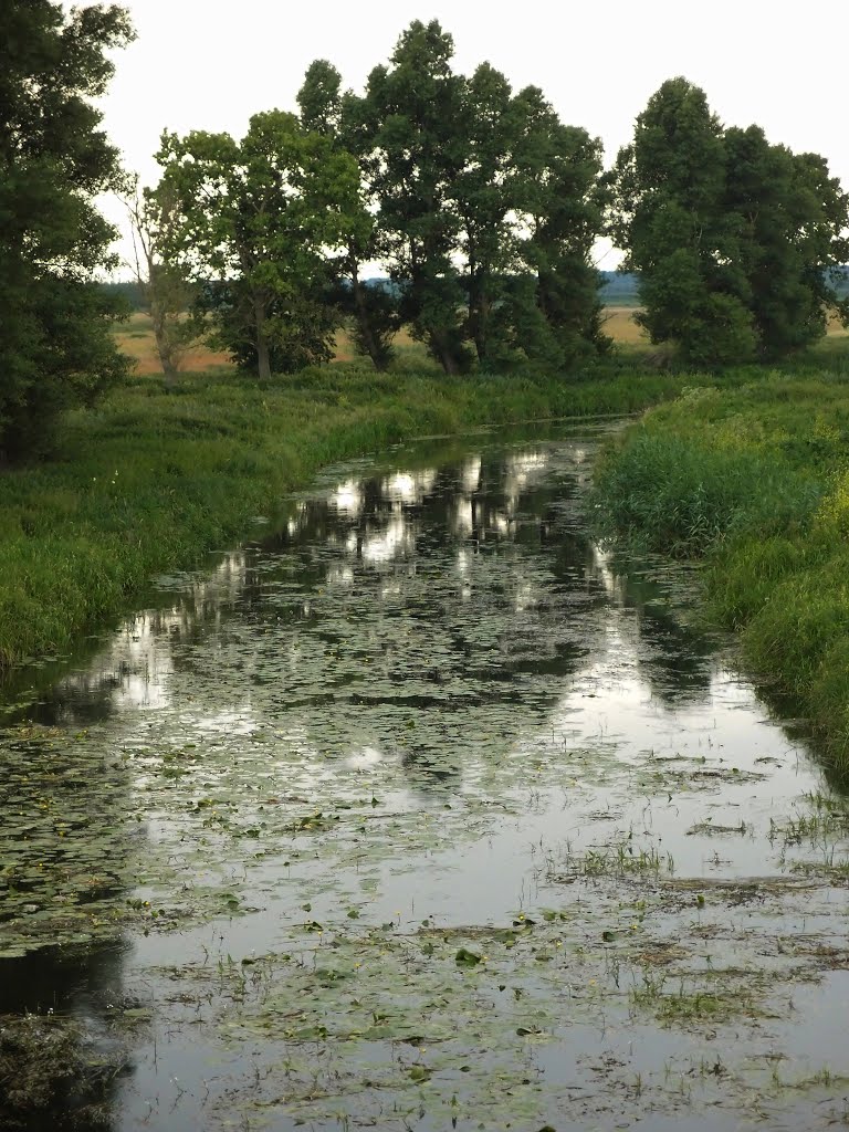 річка Здвиж