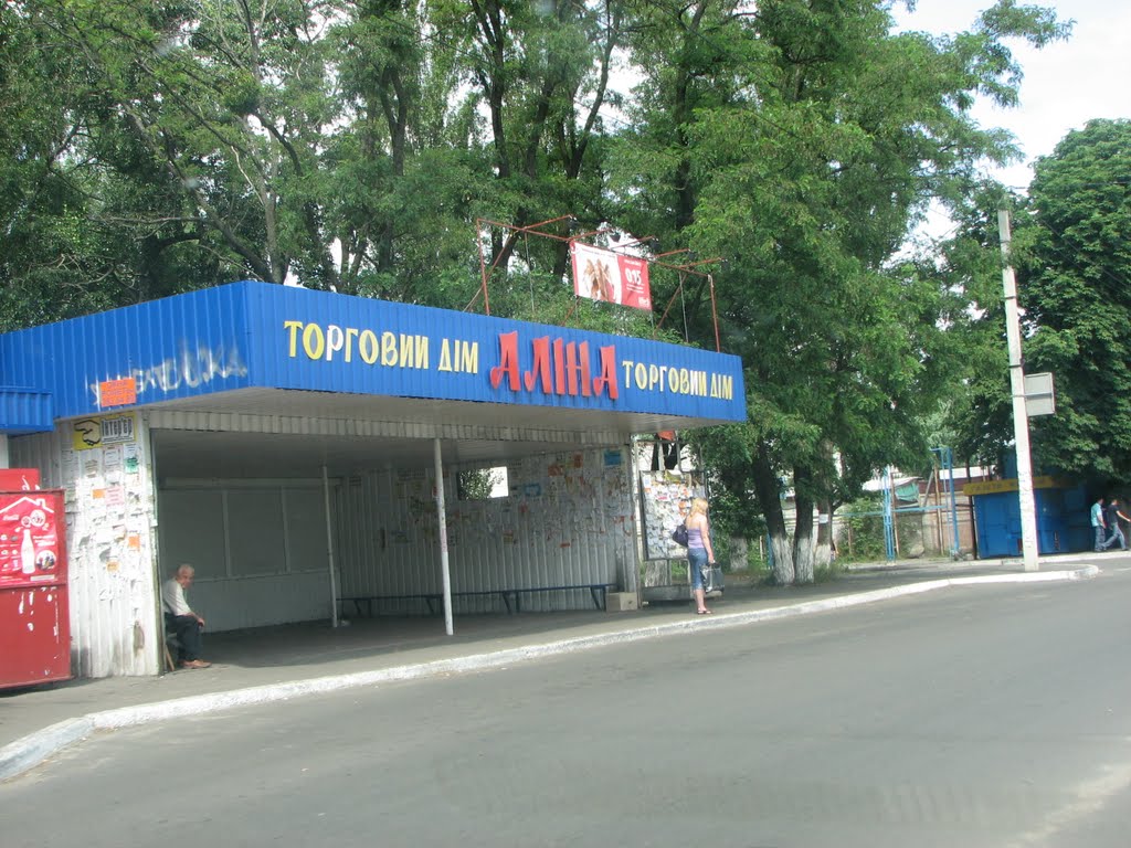 Остановка "Алина"