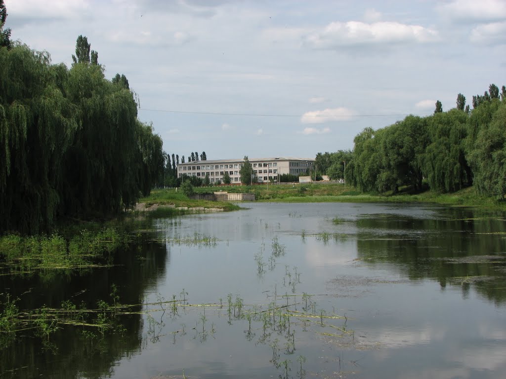Ставок
