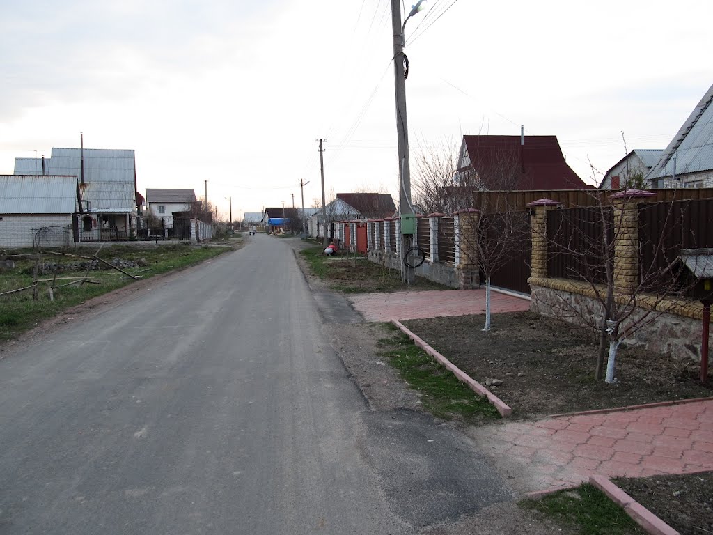 ул. Игнатова в пгт. Бородянка Киевской обл.