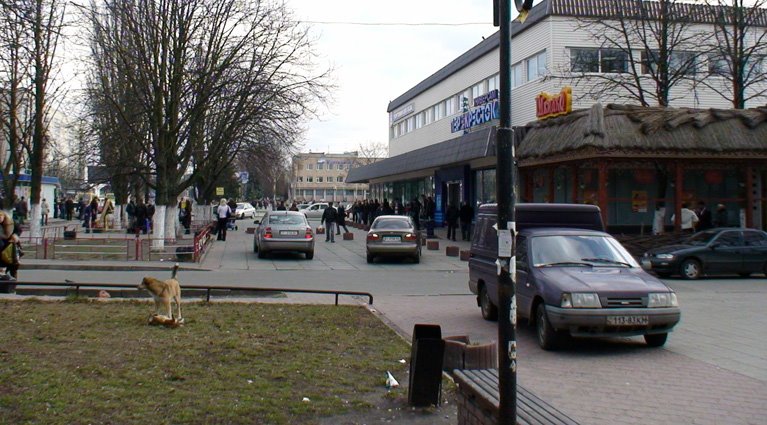 Бровары. Центр