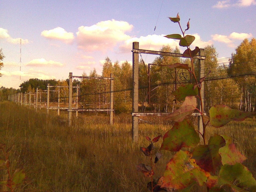 Some abandoned wire (damn expensive)