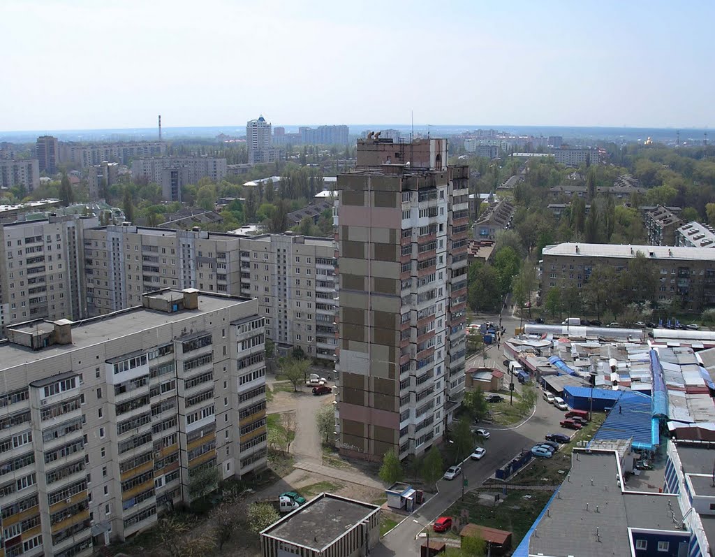 улица Короленко