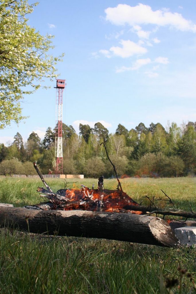 brovary wood