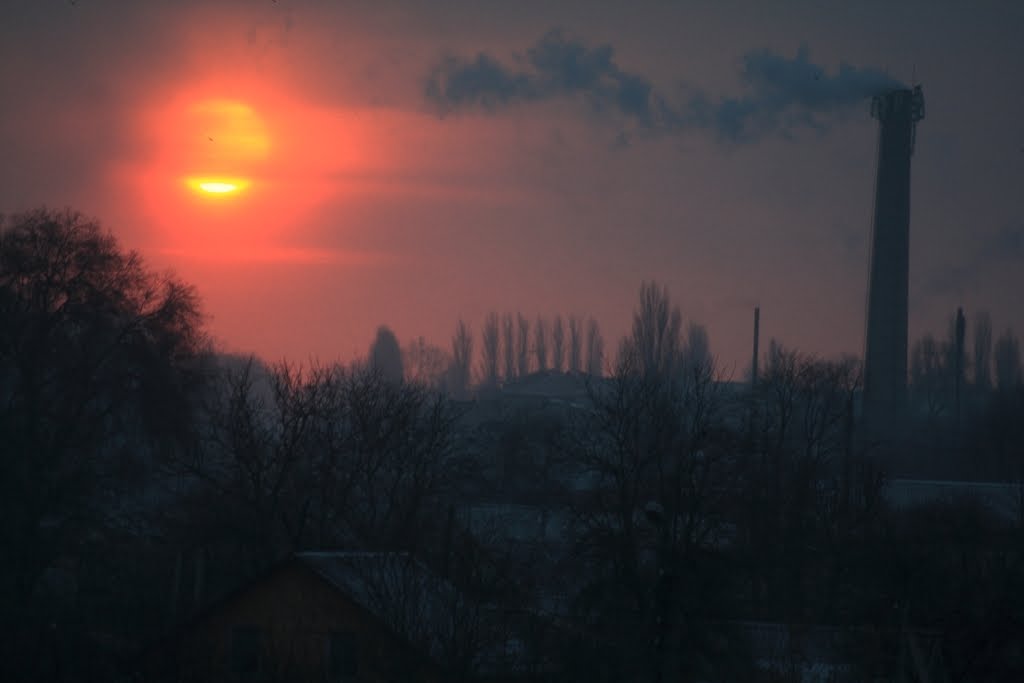 The urban Landscape