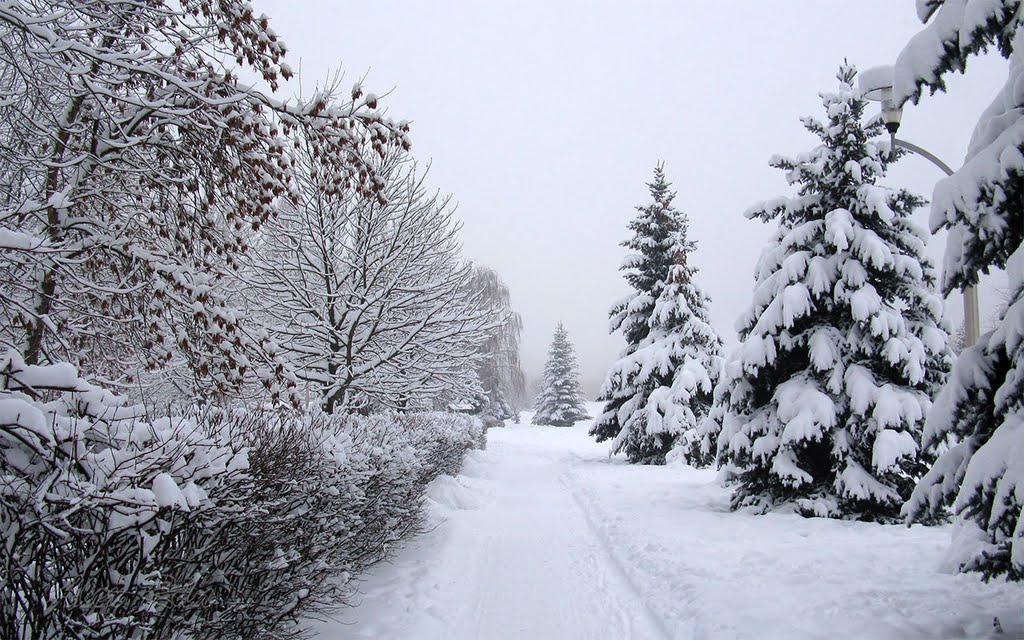 Brovary Winter Square. Бровары зима парк