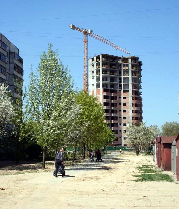 по дороге в лес