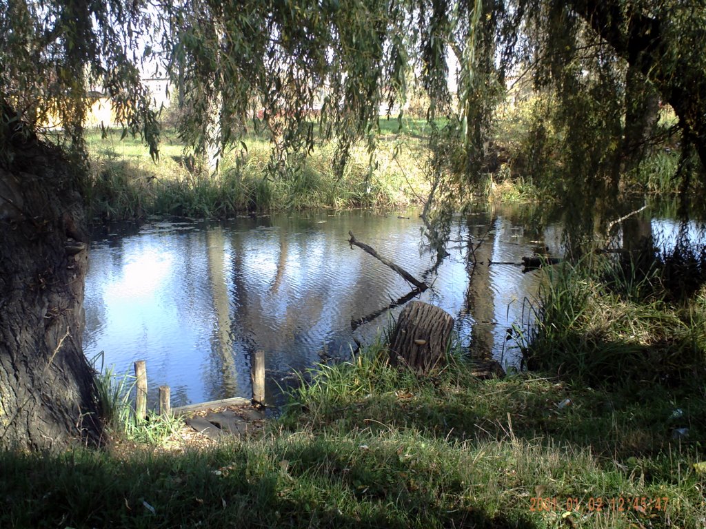 Vasylkiv24