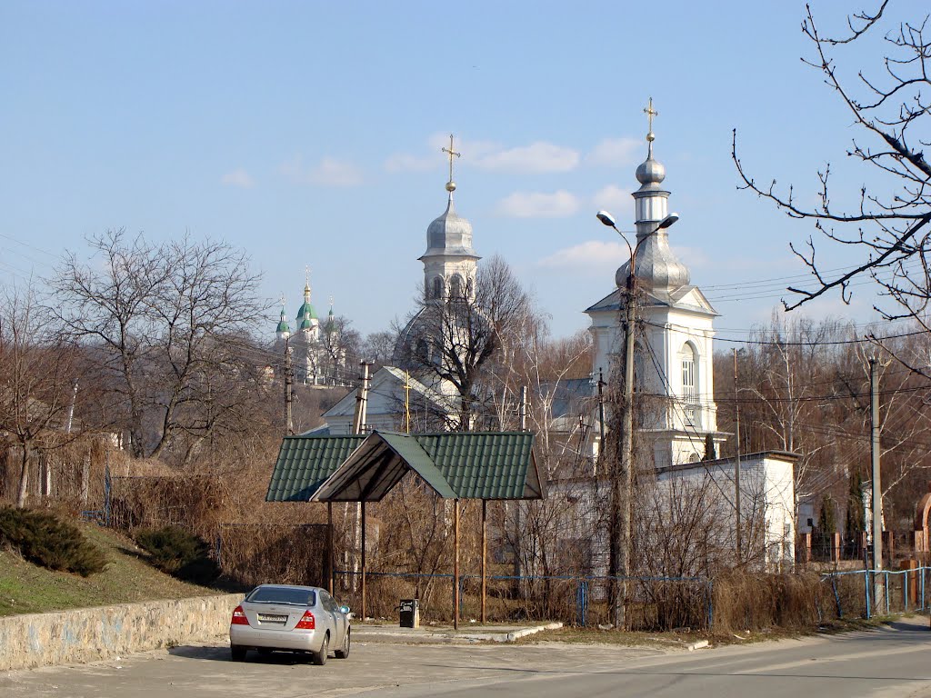 Храмы Василькова