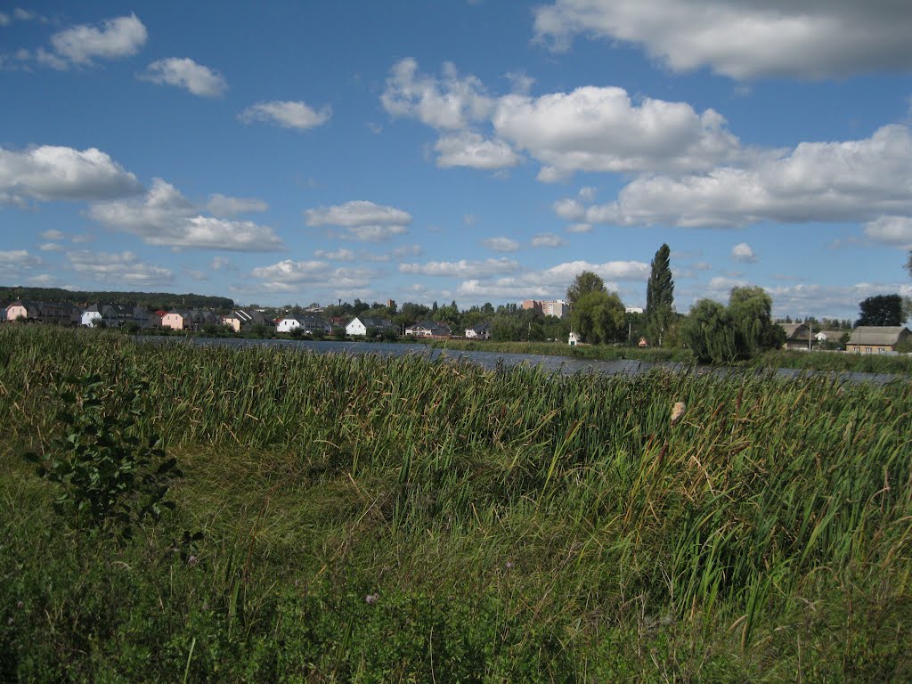 Васильків