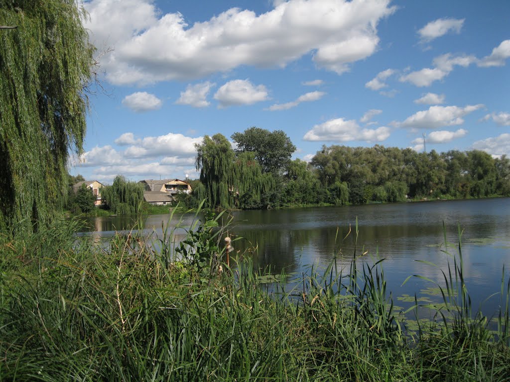 Васильків