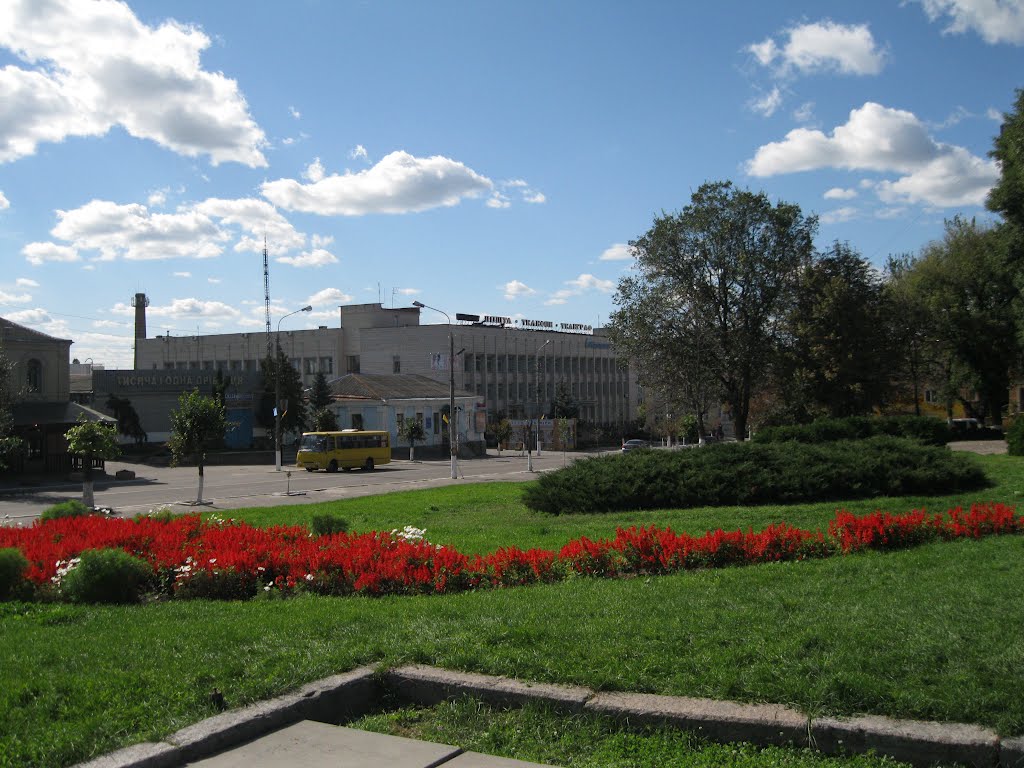 Васильків