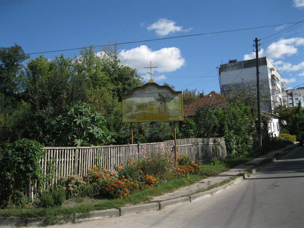 Васильків
