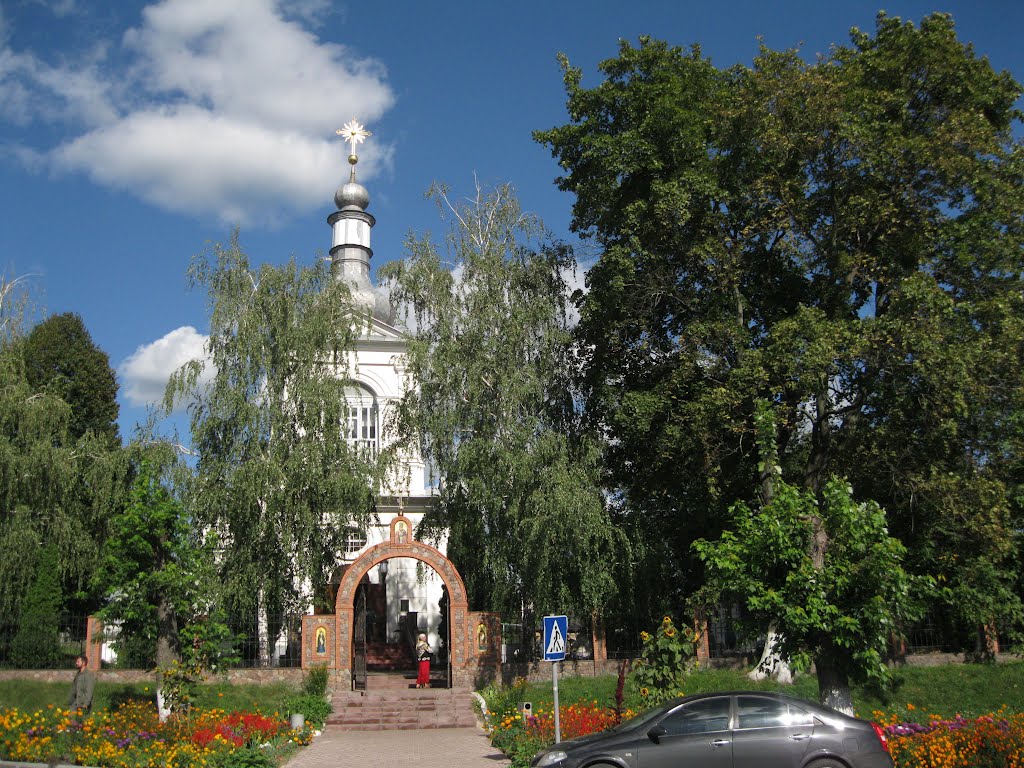 Васильків