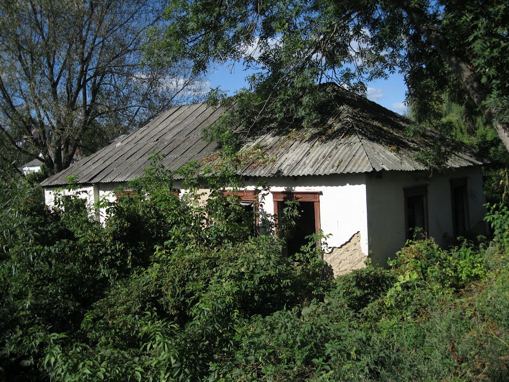 Васильків