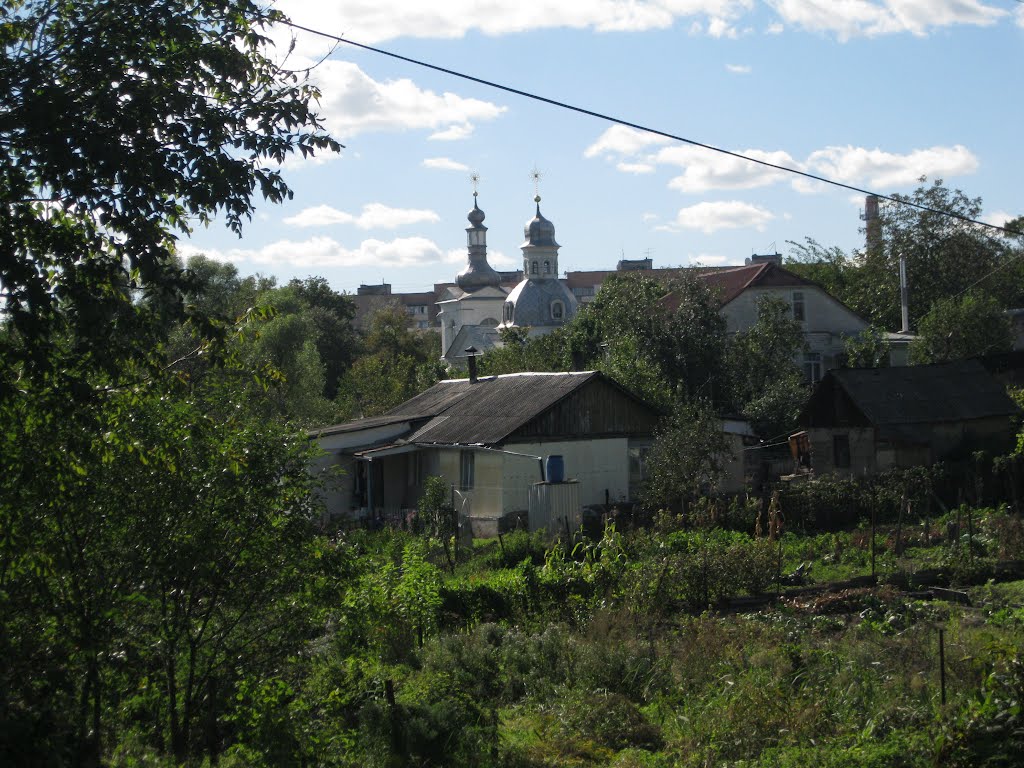 Васильків