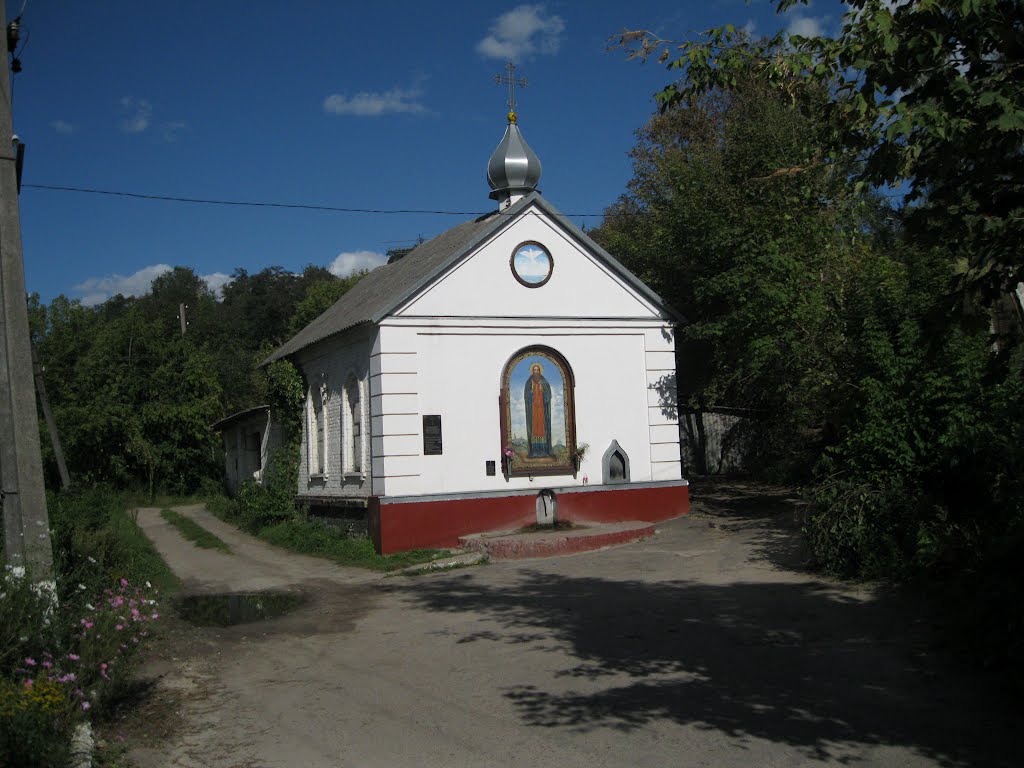 Васильків