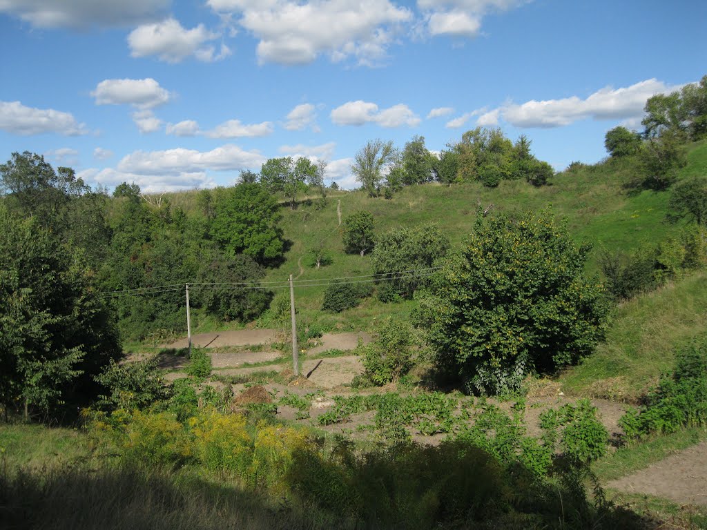Васильків