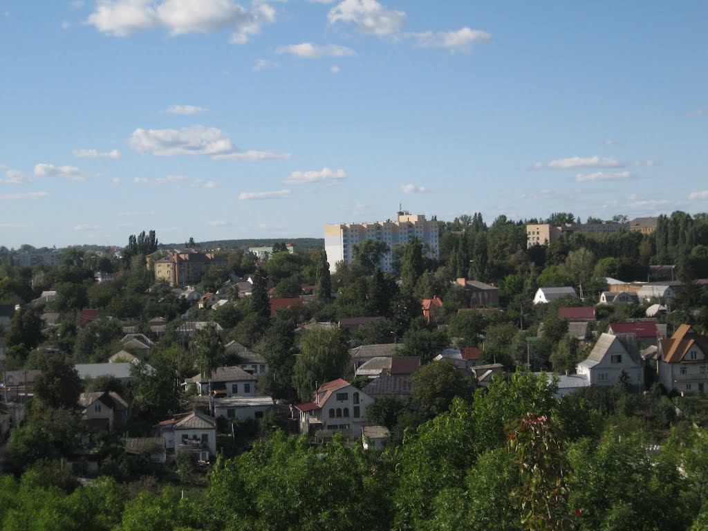 Васильків