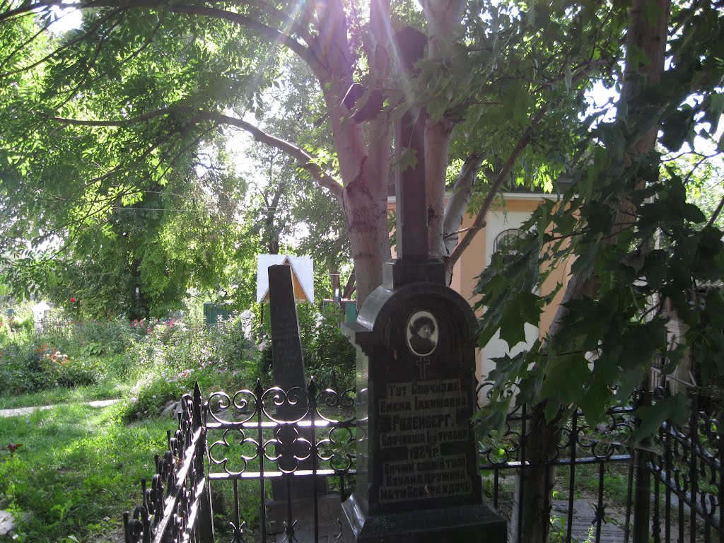 Васильків