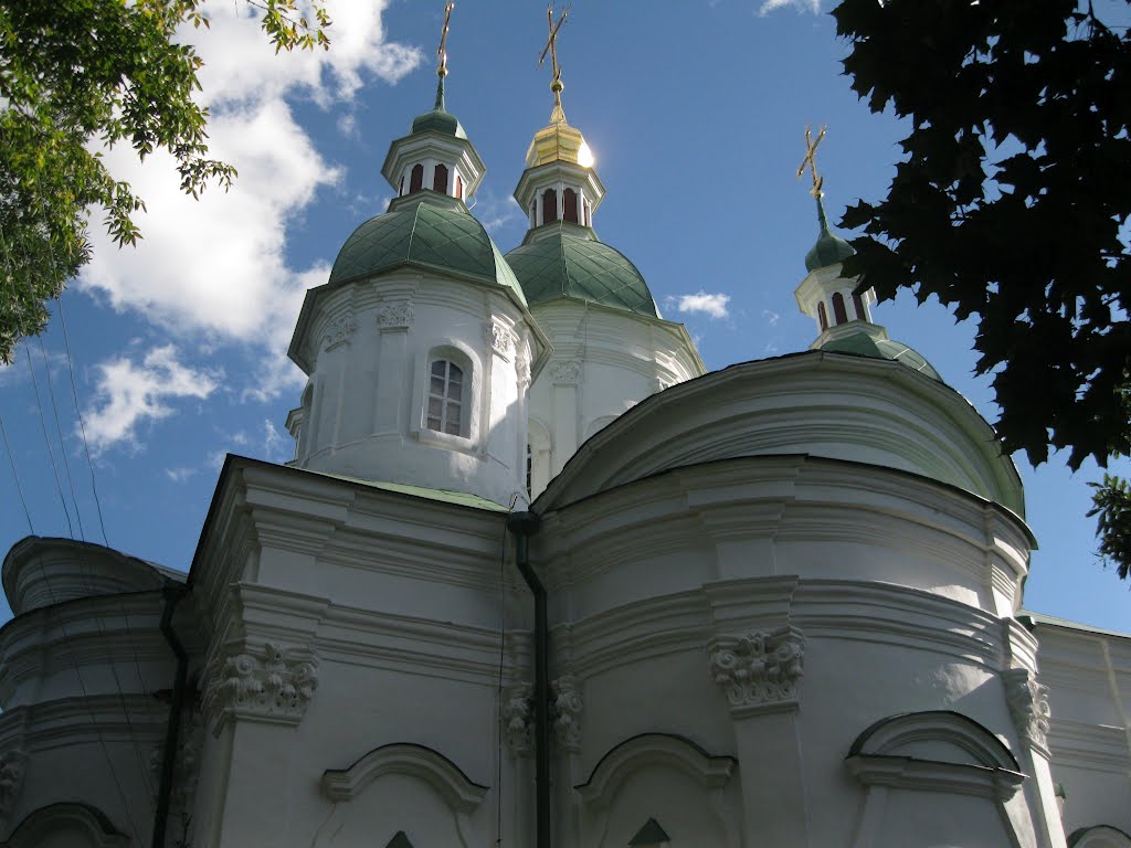 Васильків