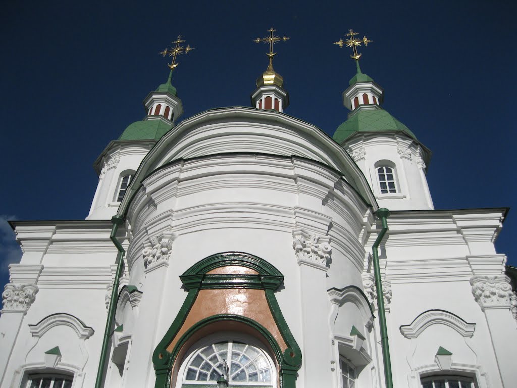 Васильків