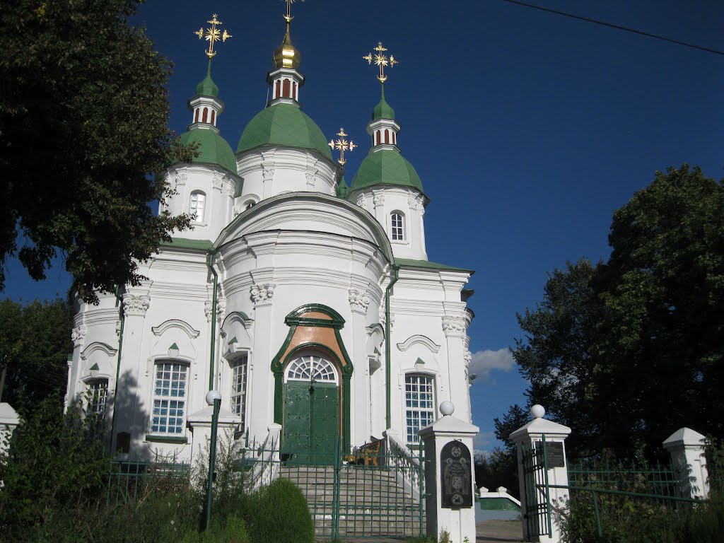 Васильків