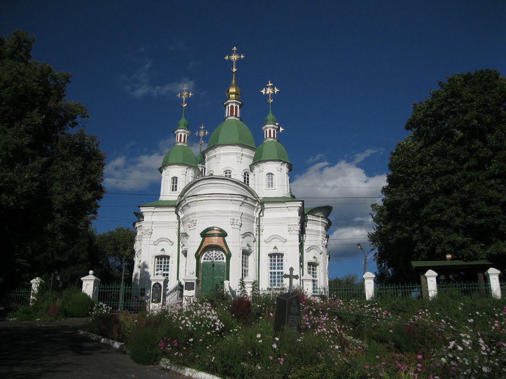 Васильків
