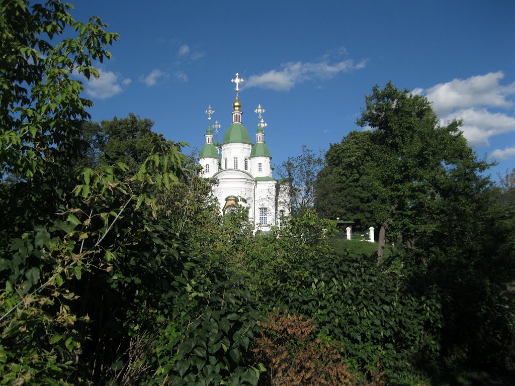 Васильків