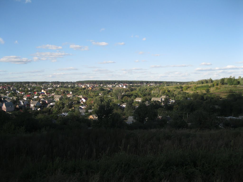 Васильків