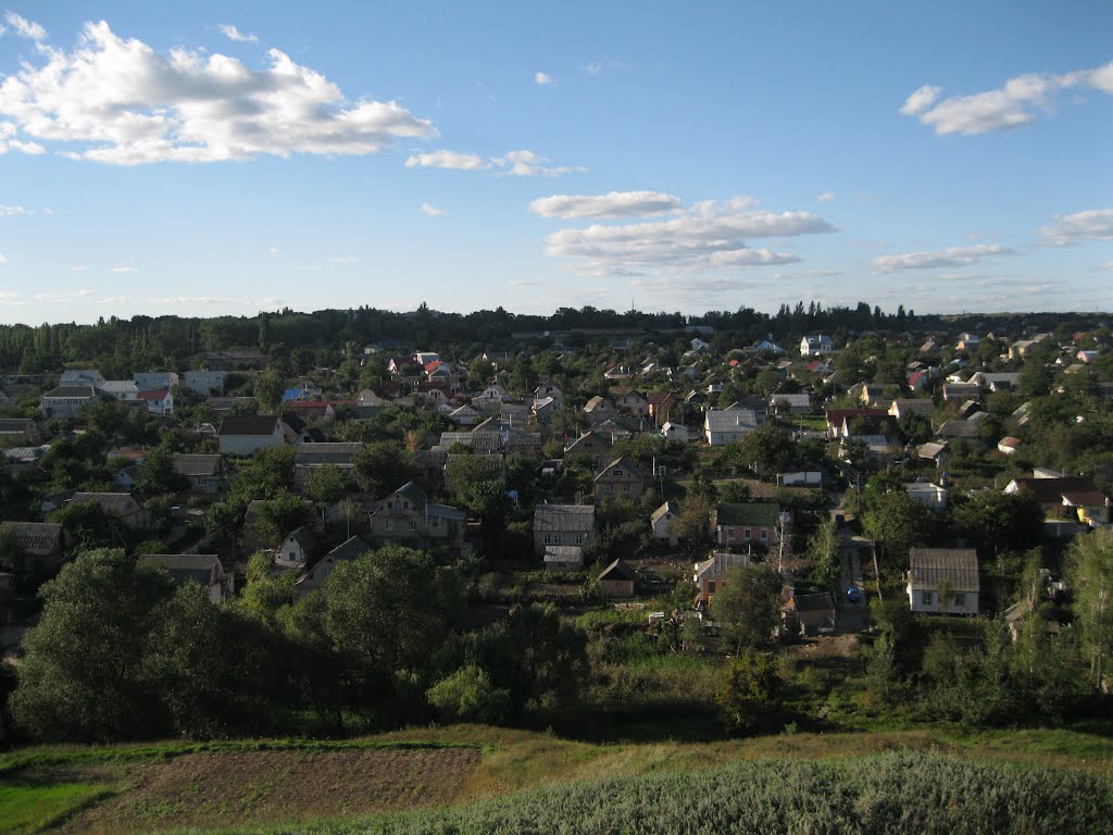 Васильків