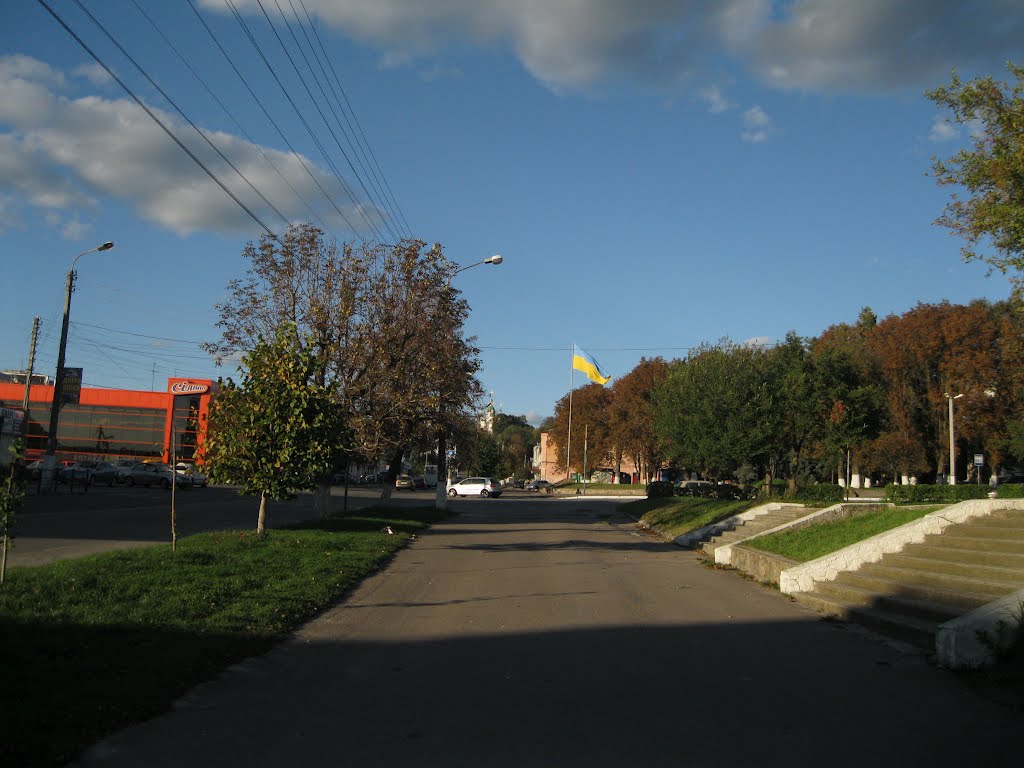 Васильків