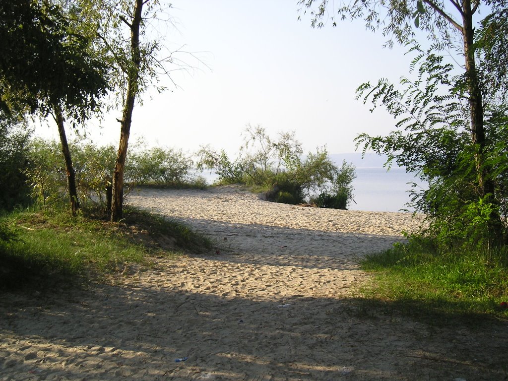 Село Логвин. Река Рось. Август 2005 / Village Logvin. River Ros`. August 2005