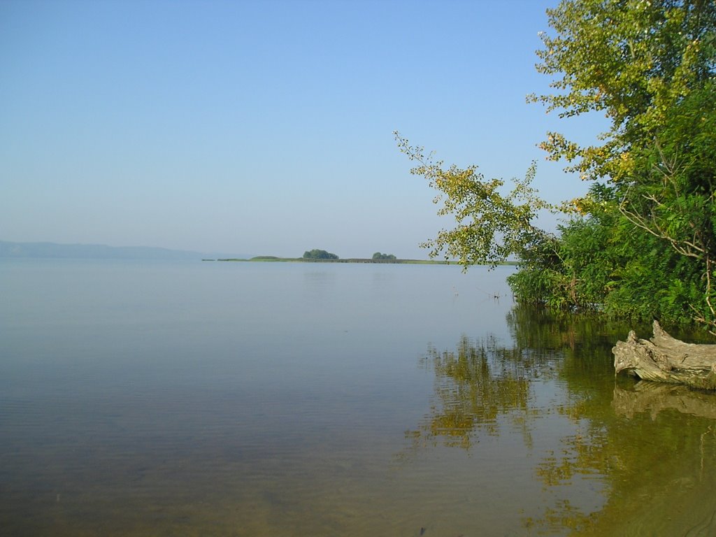 Село Логвин. Река Рось. Август 2005 / Village Logvin. River Ros`. August 2005