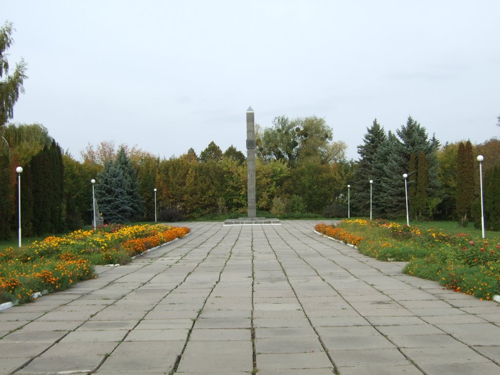 Volodarka 6