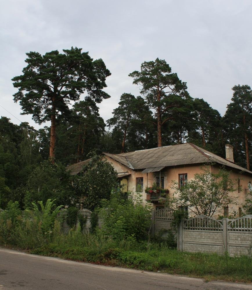 Ворзель, август 2009