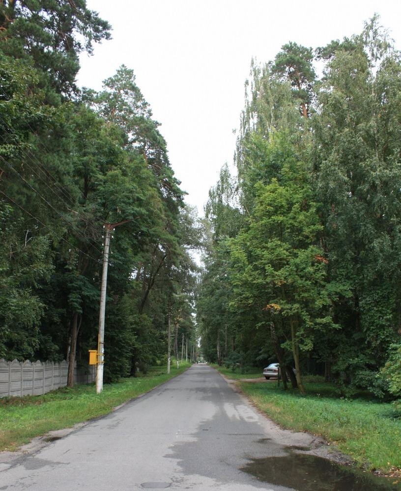 Ворзель, август 2009